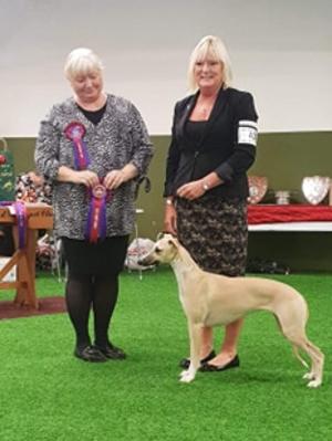 Palmik Carousel For Huntinghill JW