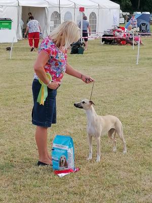 Palmik Carousel For Huntinghill JW