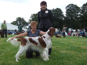 Jaffa Winning Best Dog Darlington