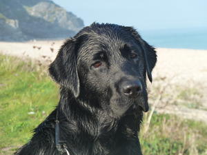 Maya by the seaside