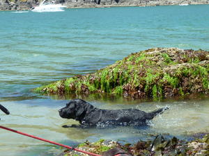 Swimming in a Cornish pool!