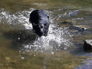Splashing!