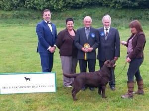 WINNING HIS 3RD CC & AWARDED BEST IN SHOW!