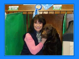 Wesy Love! ....CRUFTS 2018