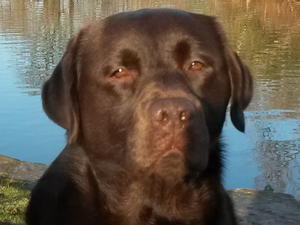 Sun's in my eyes!