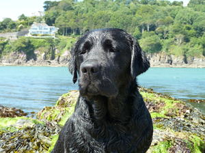 Cooling off on holiday! July 2013