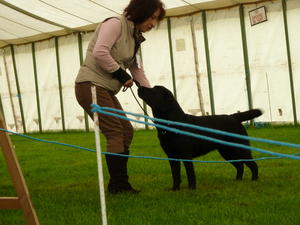 Morella ~ 1st Open & Best of Breed