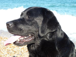 By the sea - Sept 2014