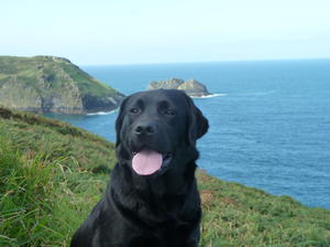 Ella by the sea in Cornwall