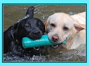 Ella sharing training with a friend!