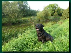 Ella being 'steady' by the River Frome