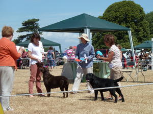 A 2nd for Ella today...Fantastic weather!