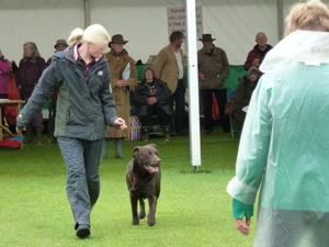 Wes being assessed on movement