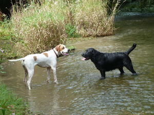 Roma with a friend in the river