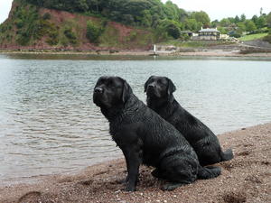 Leo with Ella on holiday