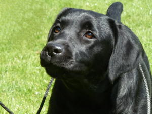 Brown eyed lovely girl!