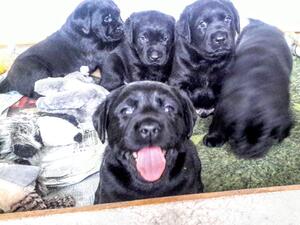 Maya's babies ~ All smiles!