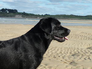 Ella on the beach