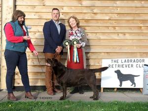 BEST IN SHOW LRC Nov 2015