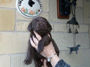 One of the girls at 4 weeks young