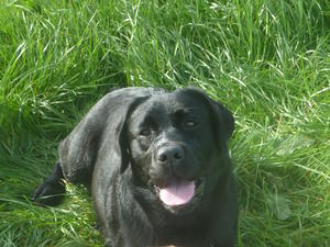  Ella 'smiling'