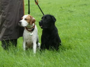 Ella training with her friend ' Lola '