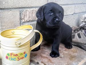 Katie as a baby!