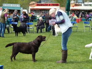 Wes & Becci - 1st LIMIT DOG & RCC