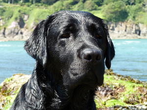 Roma    -    September 2013