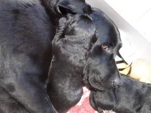 A word in mummy's ear!
