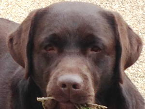 Lovely boy!