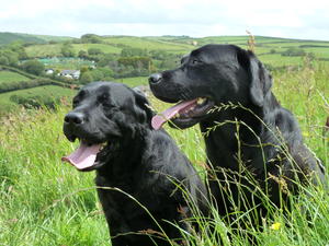 Roma & Ella enjoying the lovely views June  2014