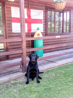 Nessa is supporting England in the WORLD CUP 2018!