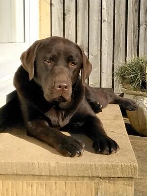 Esme at 10 months November 2021