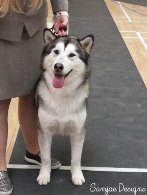 Pretty girl!