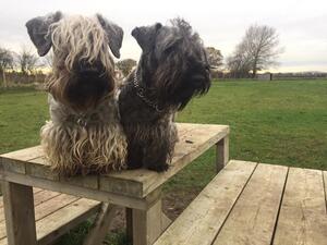 Country walks