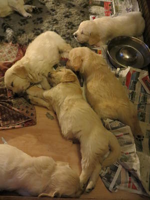 Tired out!