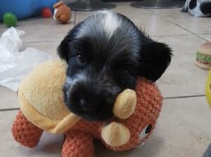 So cute