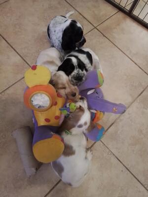 Long playtime and now wornout