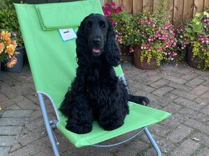 Sitting on the chair in the garden