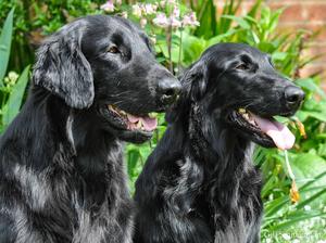 Bella and Ethan