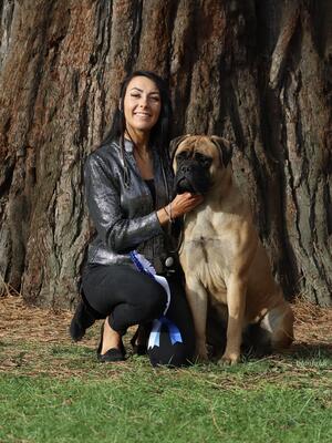 Saphira De Terras Lusitanas Astonpride JW
