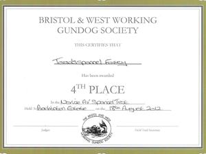Bristol & West Novice AV Spaniel Working Test