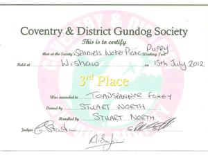 Coventry & District Puppy AV Working Test