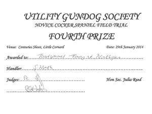 UGS Novice Cocker Field Trial 4th