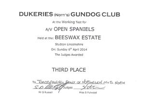 Dukeries Gundog Club Open AV Spaniel Working Test