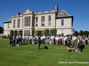 Gundog Demonstrations