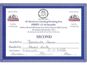 Sporting Irish Water Spaniel Club Puppy Test 2nd