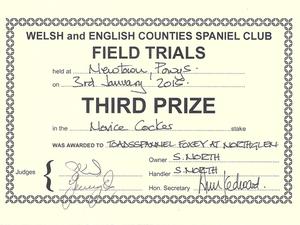 Welsh & English Counties Novice Cocker FT 3rd