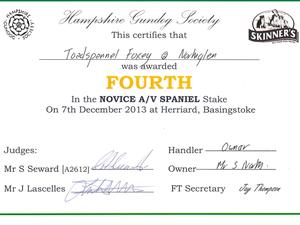 Hampshire GS 4th Novice Field Trial